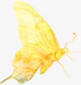 手绘黄色水彩蝴蝶装饰素材