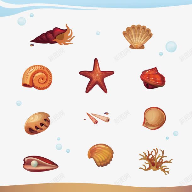 手绘海产品png免抠素材_88icon https://88icon.com 扇贝 手绘 海螺