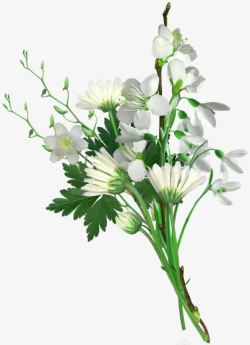 创意合成效果白色的花卉素材