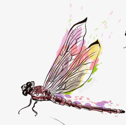 手绘的蜻蜓素材