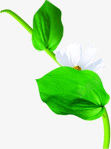 绿色春天树叶花朵装饰png免抠素材_88icon https://88icon.com 春天 树叶 绿色 花朵 装饰