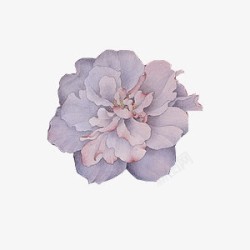手绘复古紫色花朵素材