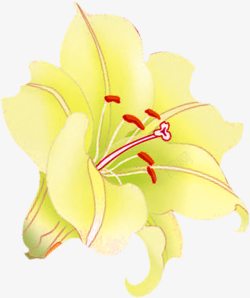 黄色卡通手绘花朵装饰素材