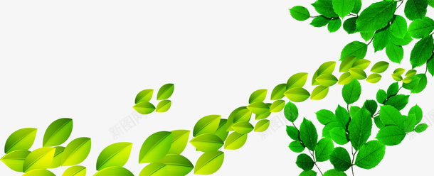 绿色叶子平面装饰psd免抠素材_88icon https://88icon.com 健康节 平面装饰 树叶 装饰图案