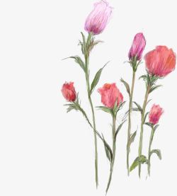 手绘粉色艺术花朵玫瑰素材