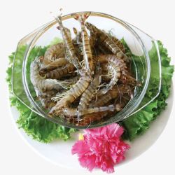 濑尿虾碗里的濑尿虾高清图片