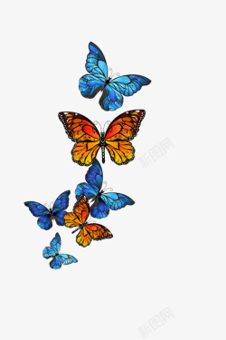 镂空蝴蝶镂空彩色装饰彩色蝴蝶高清图片
