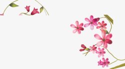 海报花朵植物卡通粉色素材