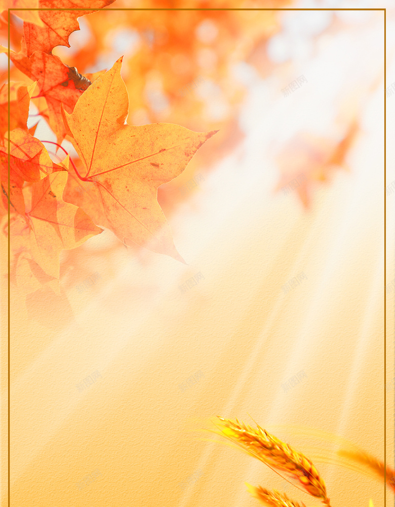 暑退秋澄气转凉psd设计背景_88icon https://88icon.com 二十四节气 秋分 秋天来了 秋季 稻谷丰收 阳光