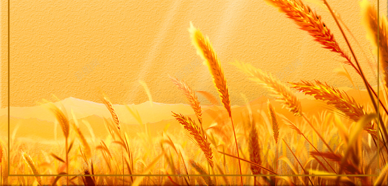 暑退秋澄气转凉psd设计背景_88icon https://88icon.com 二十四节气 秋分 秋天来了 秋季 稻谷丰收 阳光