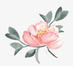 手绘粉色复古花朵植物素材