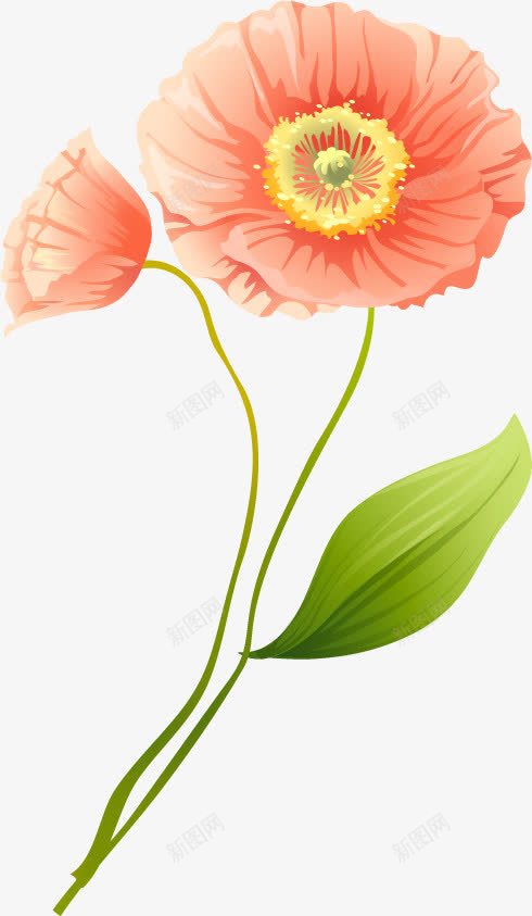 卡通涂鸦效果植物花朵png免抠素材_88icon https://88icon.com 卡通 效果 植物 涂鸦 花朵