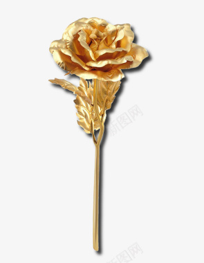 金箔玫瑰花时尚潮流美观金色四大的事图标图标
