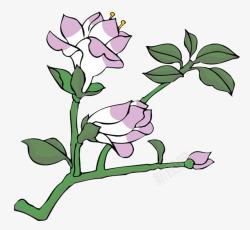 开紫花的数枝素材