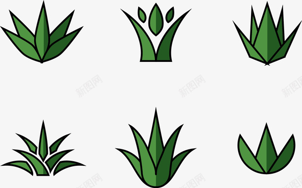 龙舌兰插图矢量图ai免抠素材_88icon https://88icon.com 植物 龙舌兰 矢量图