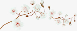 白色树枝花朵装饰图案素材