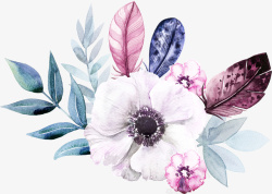 水彩植物花素材