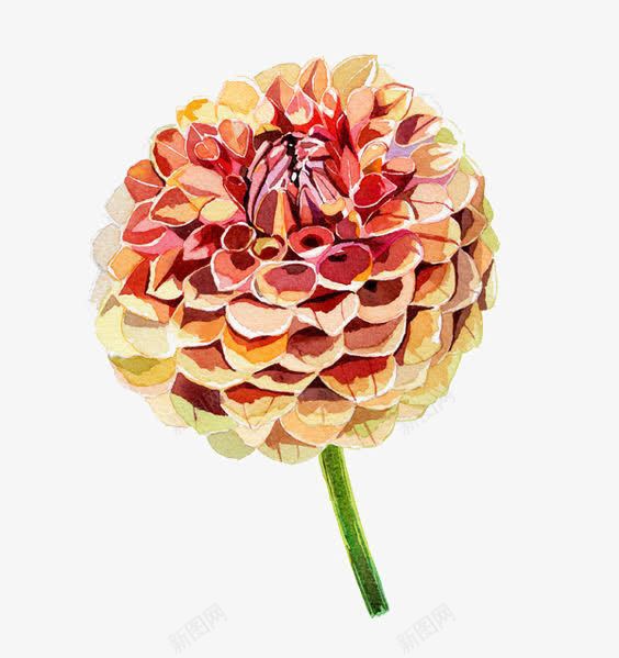 橙色花朵装饰png免抠素材_88icon https://88icon.com 创意 小花 手绘花朵 橙色 水彩花朵