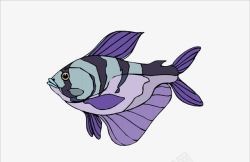 彩绘紫色鱼漂浮素材