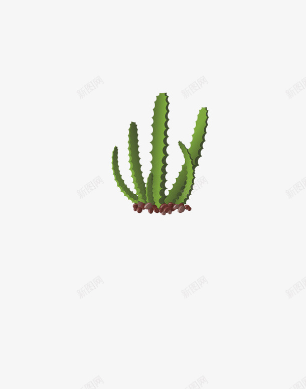 沙漠植物插画png免抠素材_88icon https://88icon.com png 仙人掌 插画 素材