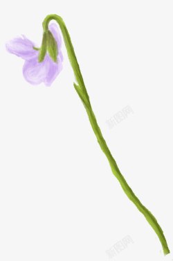紫色手绘花朵植物素材