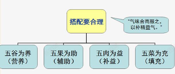 饮食指导结构图png免抠素材_88icon https://88icon.com PPT元素 健康饮食 饮食搭配