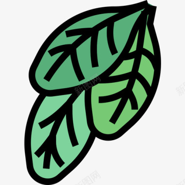 菠菜草本植物2线状颜色图标图标