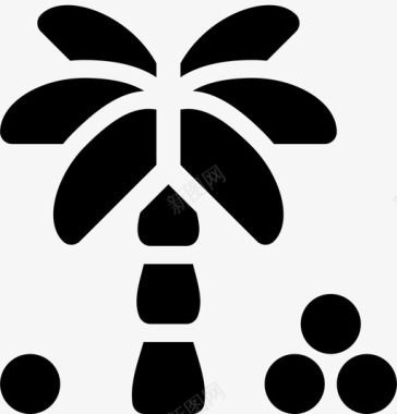树椰子棕榈图标图标