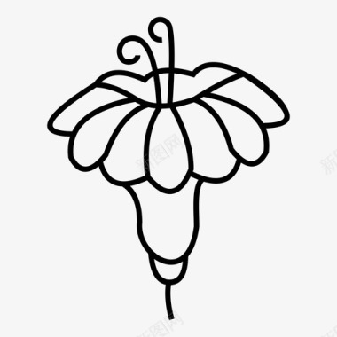 花卉植物学装饰图标图标