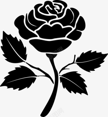 玫瑰玫瑰美丽盛开图标图标