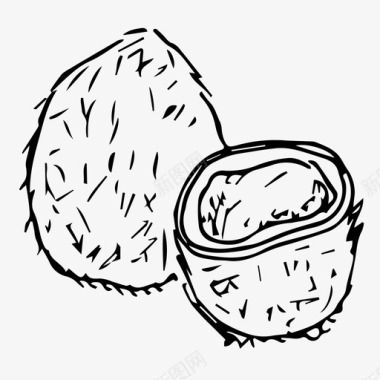食物椰子食物坚果图标图标