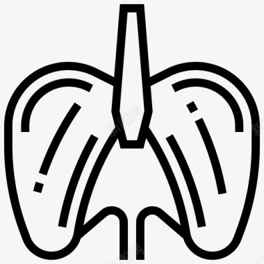 黑白器官横膈膜腹部解剖学图标图标