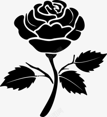 玫瑰玫瑰美丽盛开图标图标