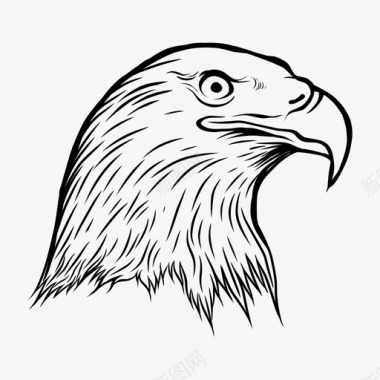 鹰鸟鹰头图标图标