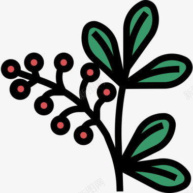 浆果草本植物2线形颜色图标图标