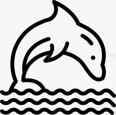海豚海洋生物25直系图标图标