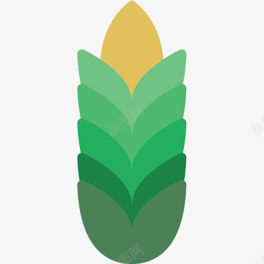 小麦植物学3平坦图标图标