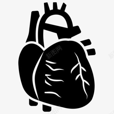 生物学心脏生物学心脏病学图标图标