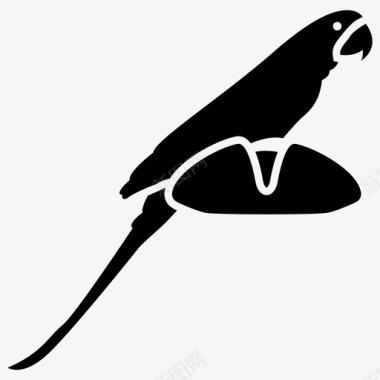 鹦鹉凤头鹦鹉长尾鹦鹉图标图标