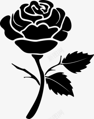 玫瑰美丽盛开图标图标