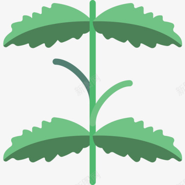 薄荷植物3扁平图标图标