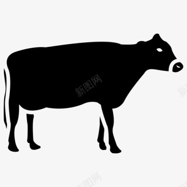 公牛农场奶牛动物公牛图标图标