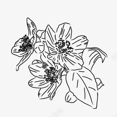 茉莉花植物性花图标图标