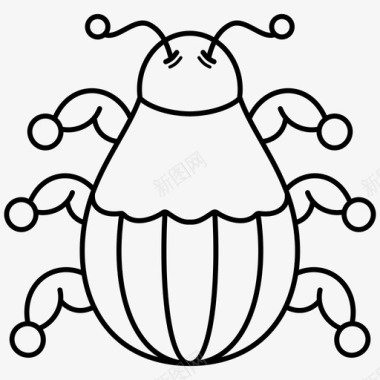 虫子甲虫科罗拉多马铃薯甲虫图标图标