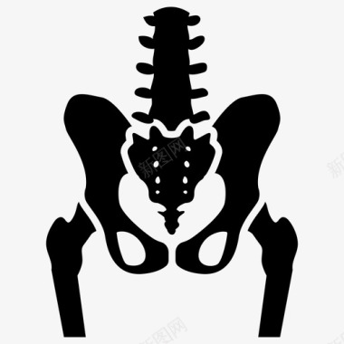 髋骨骨盆锁骨腔图标图标