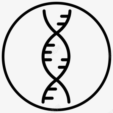dna染色体基因图标图标