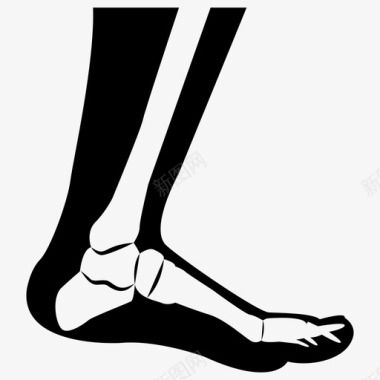 足部医疗展射线足部解剖图标图标