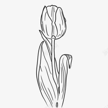 郁金香植物性花卉图标图标