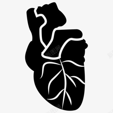心脏生物学人体器官图标图标