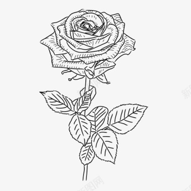花卉墨点素材玫瑰植物花卉图标图标